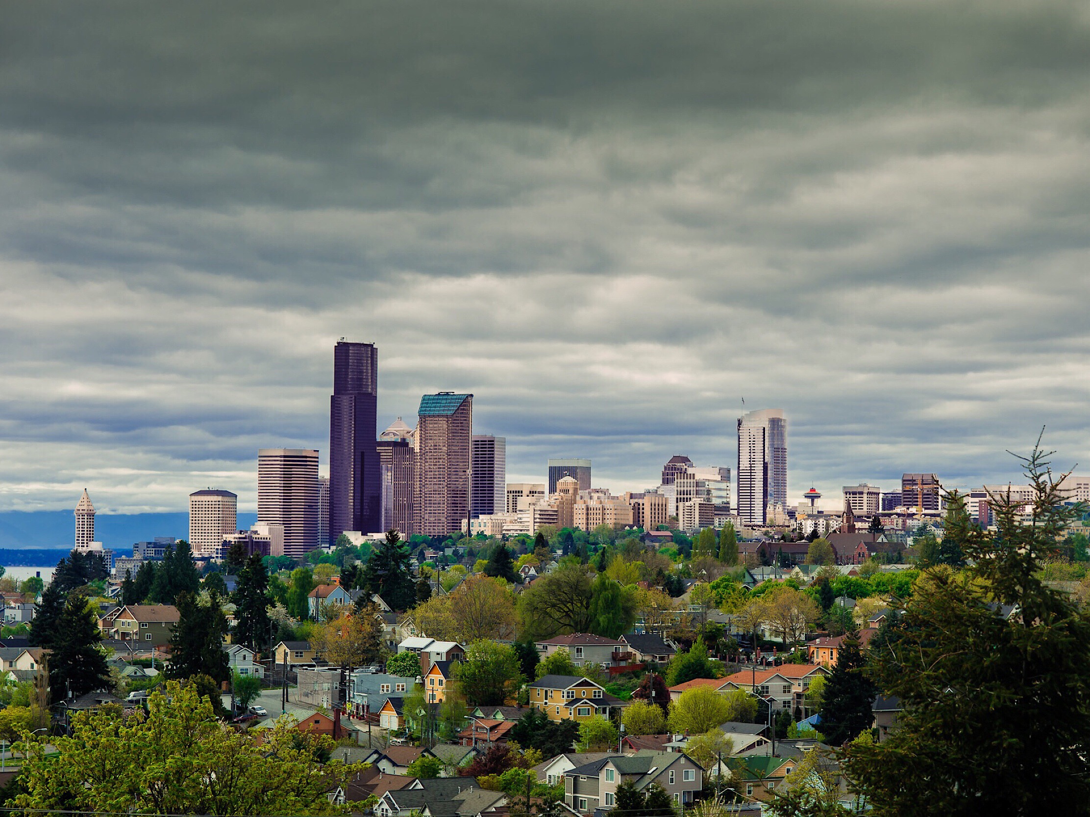 WTF Seattle